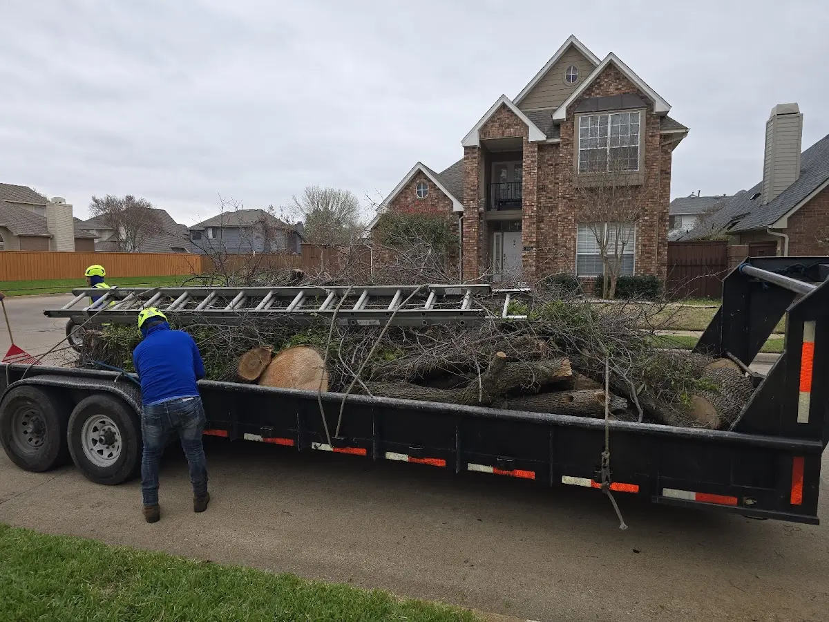 Expert Tree Removal with proper safety equipment in Crab Orchard